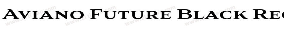 Aviano Future Black Regular字体转换